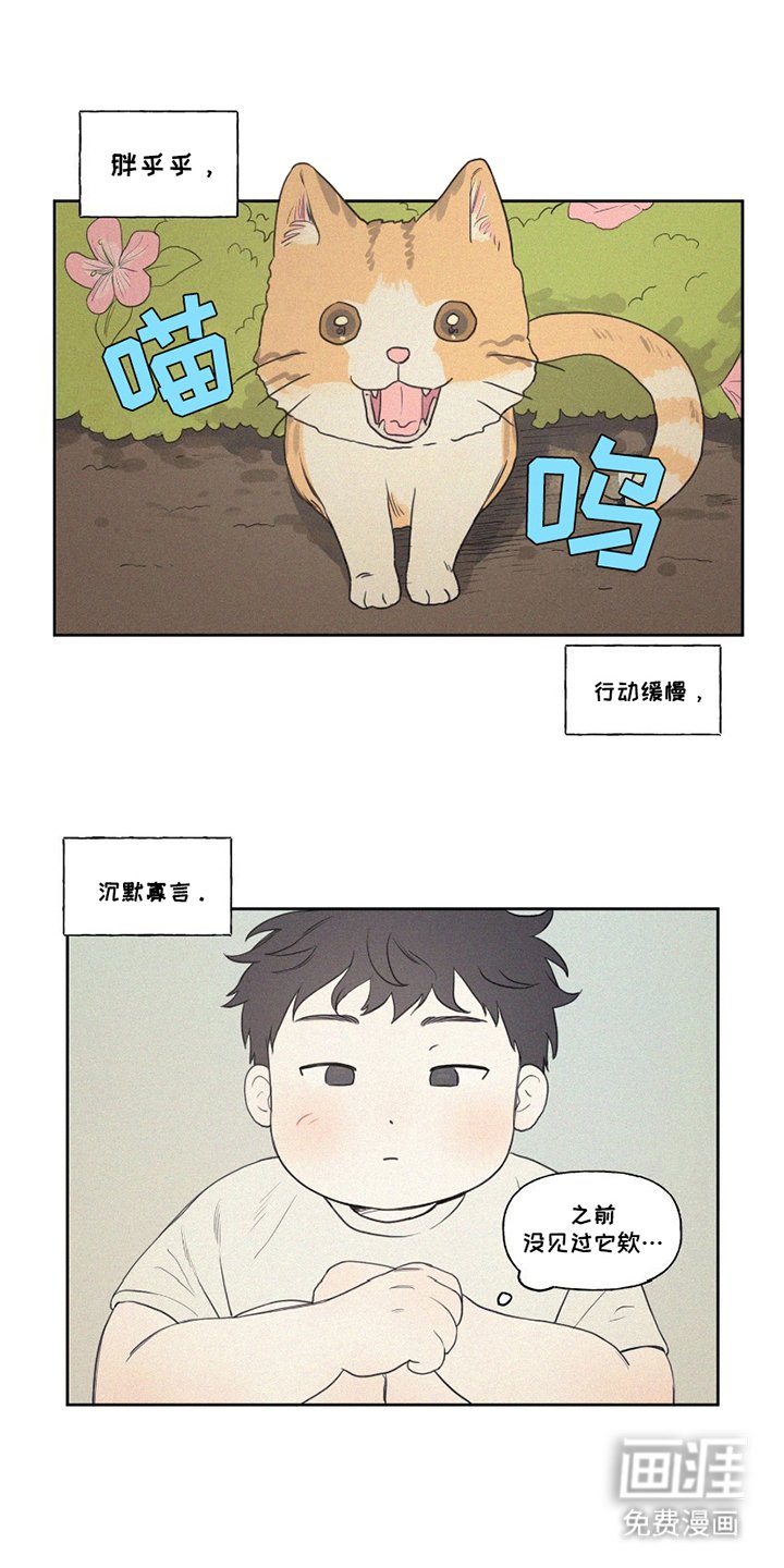 第1章：百公斤