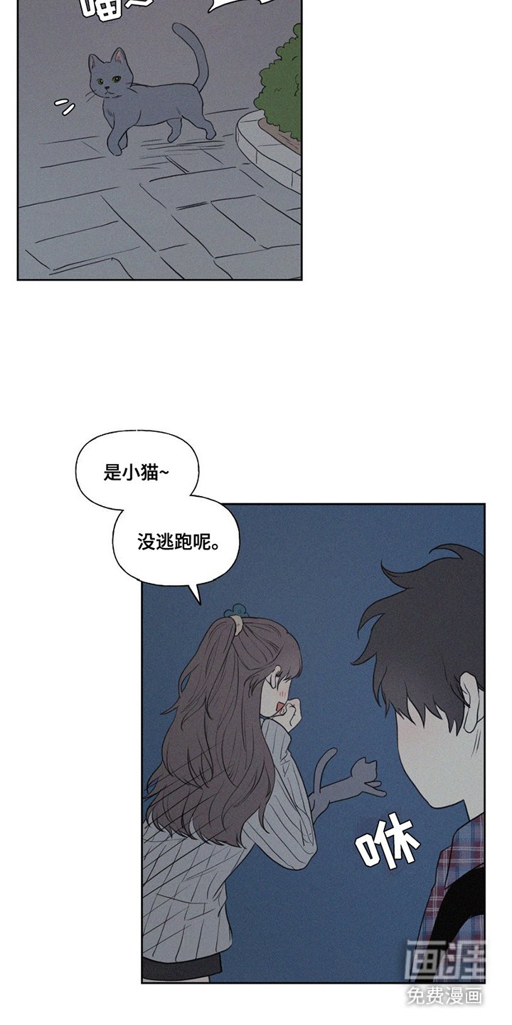 第8章：小猫