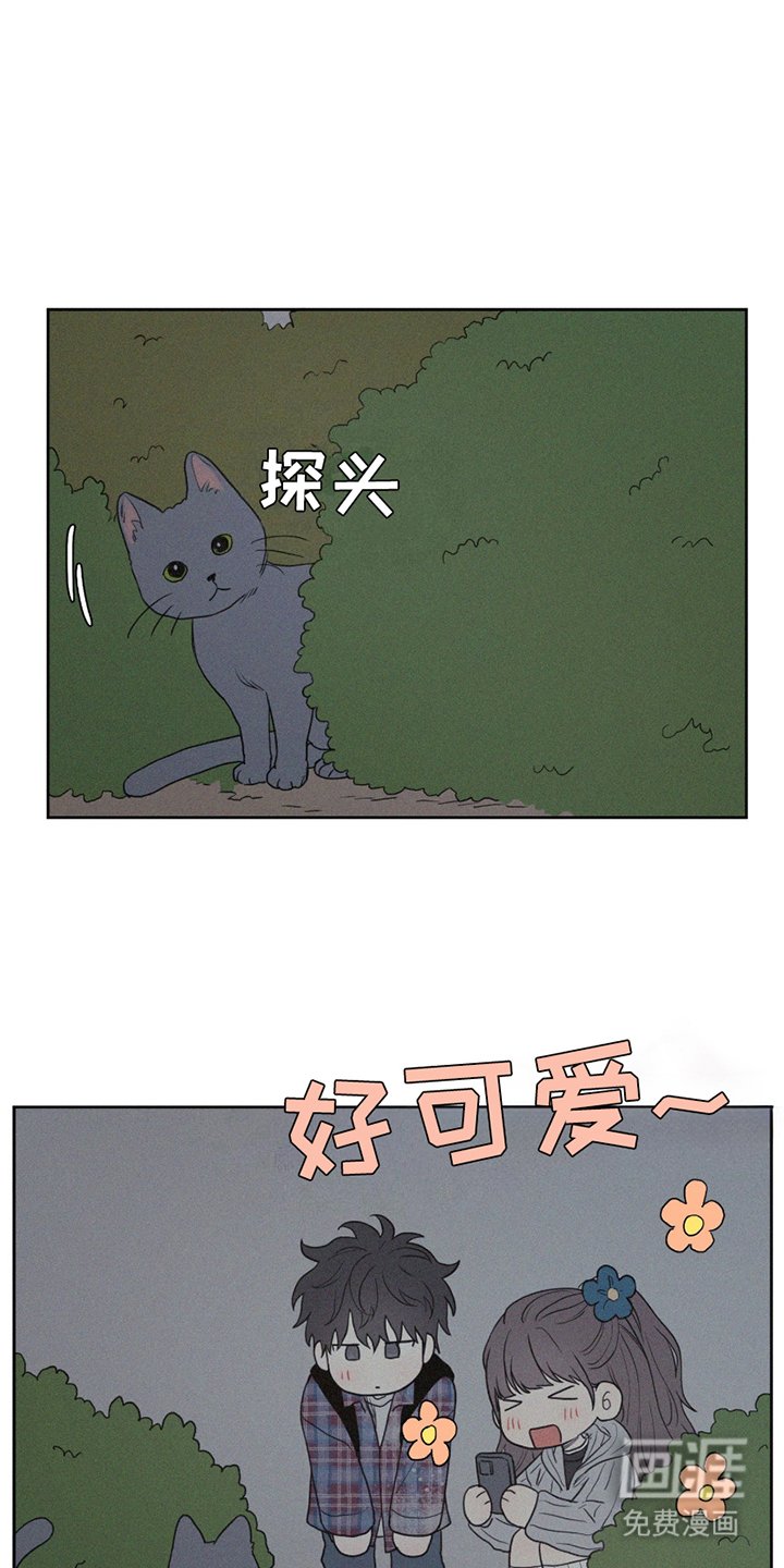 第8章：小猫