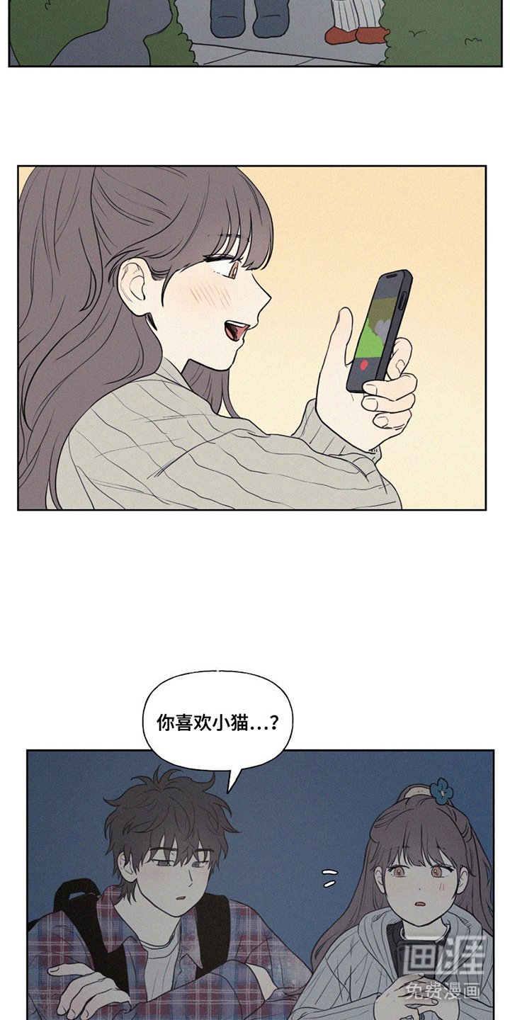 第8章：小猫