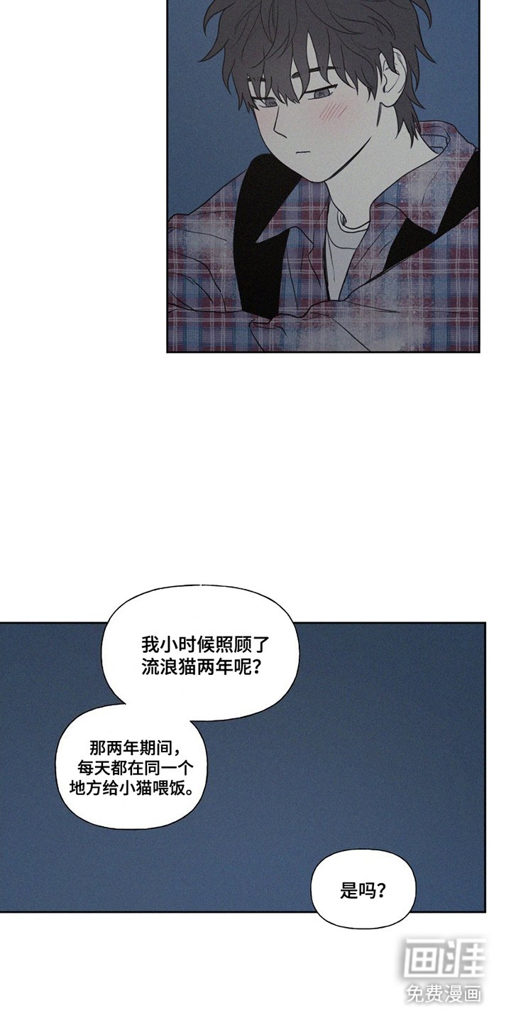 第8章：小猫