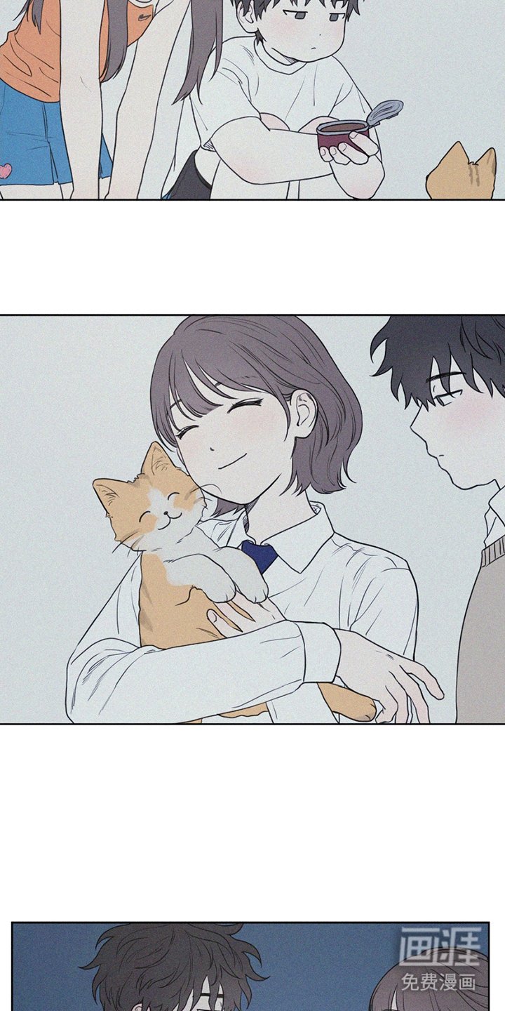 第8章：小猫