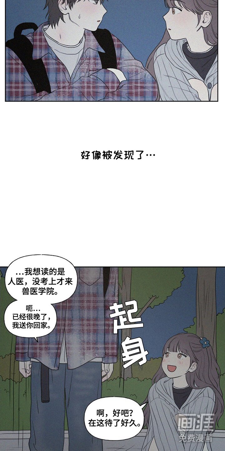 第8章：小猫