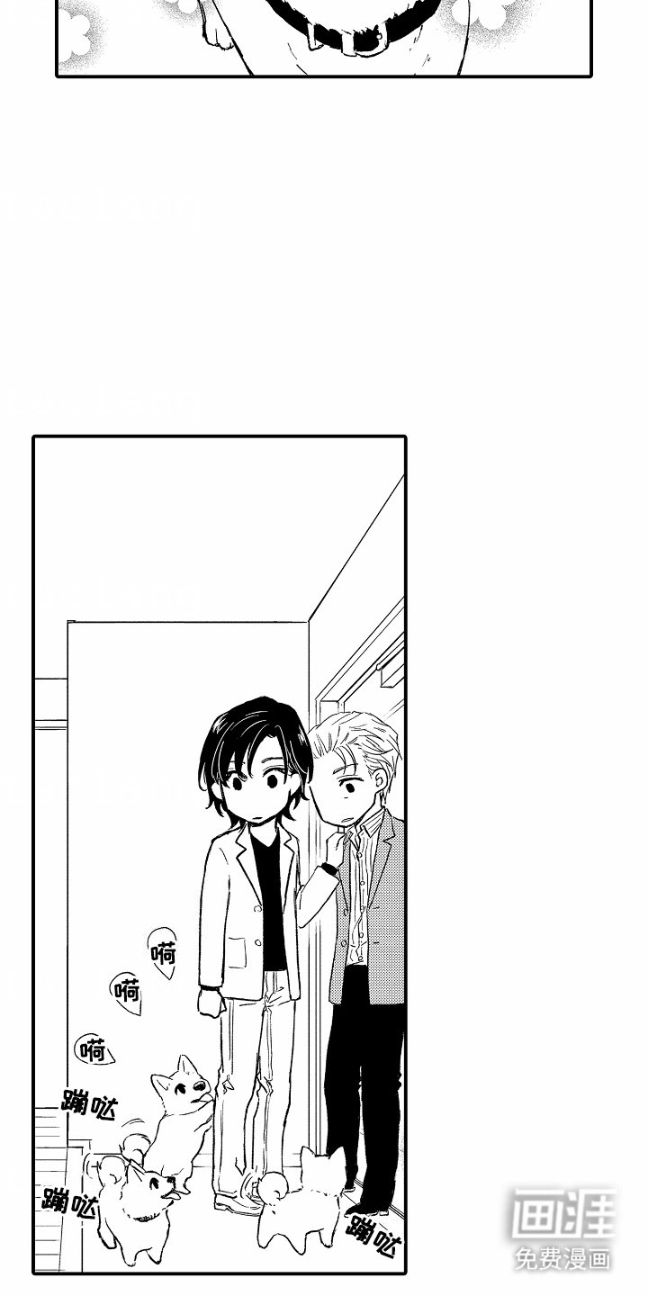 第9章：尝试