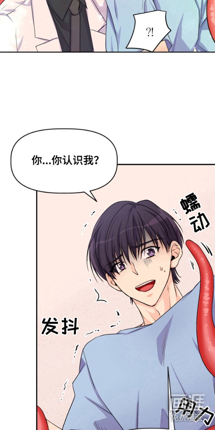 第4章：认出来了