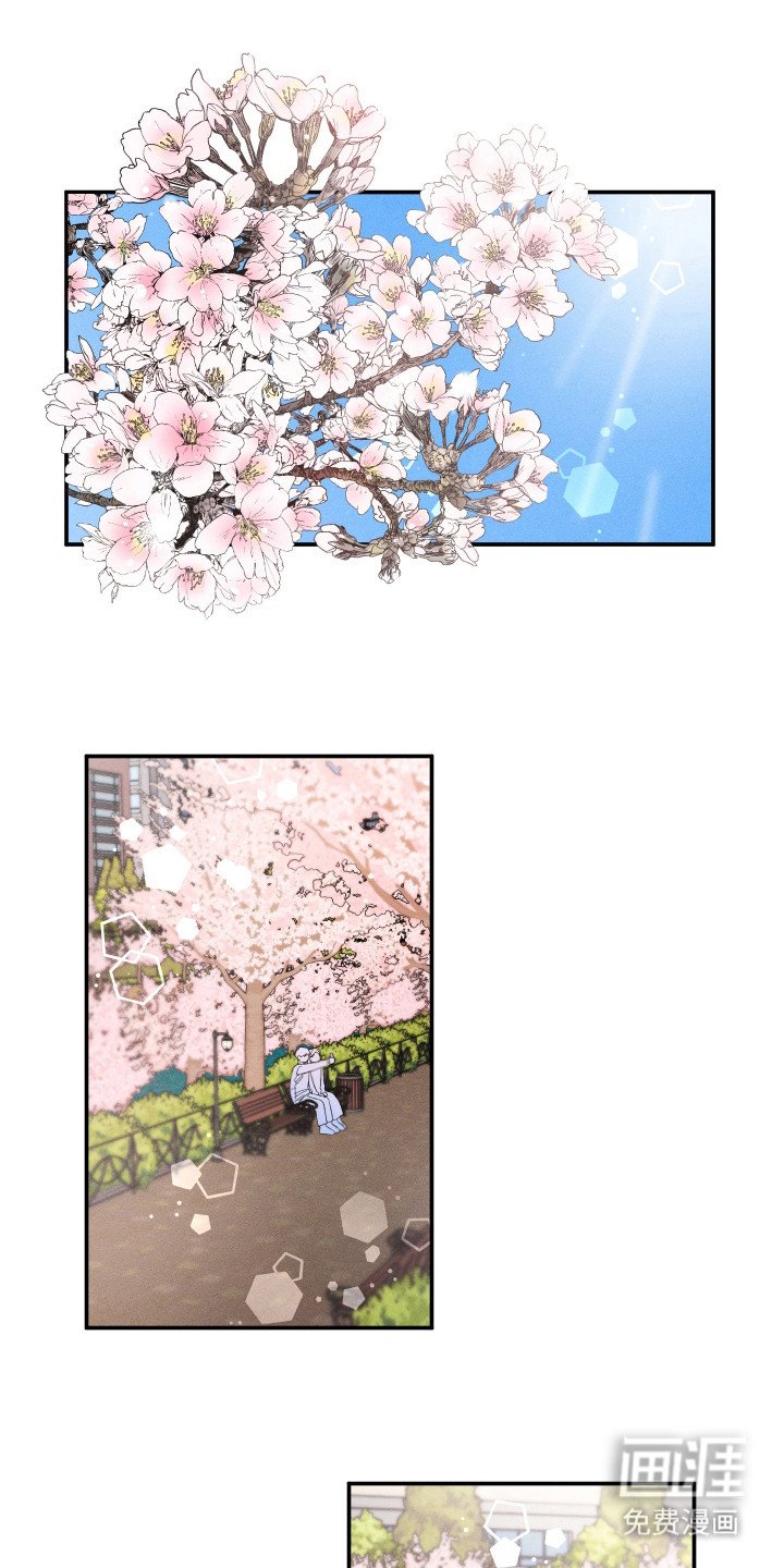 第21章：赏樱花