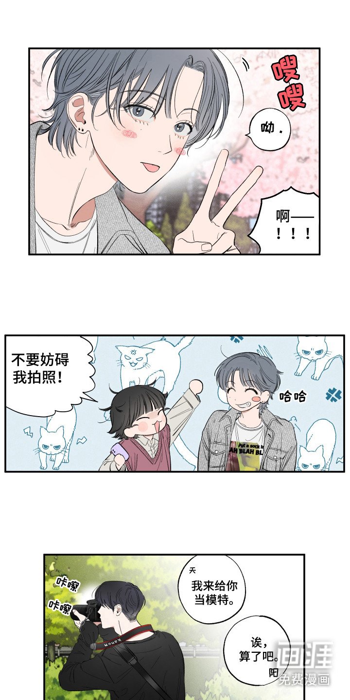 第21章：赏樱花