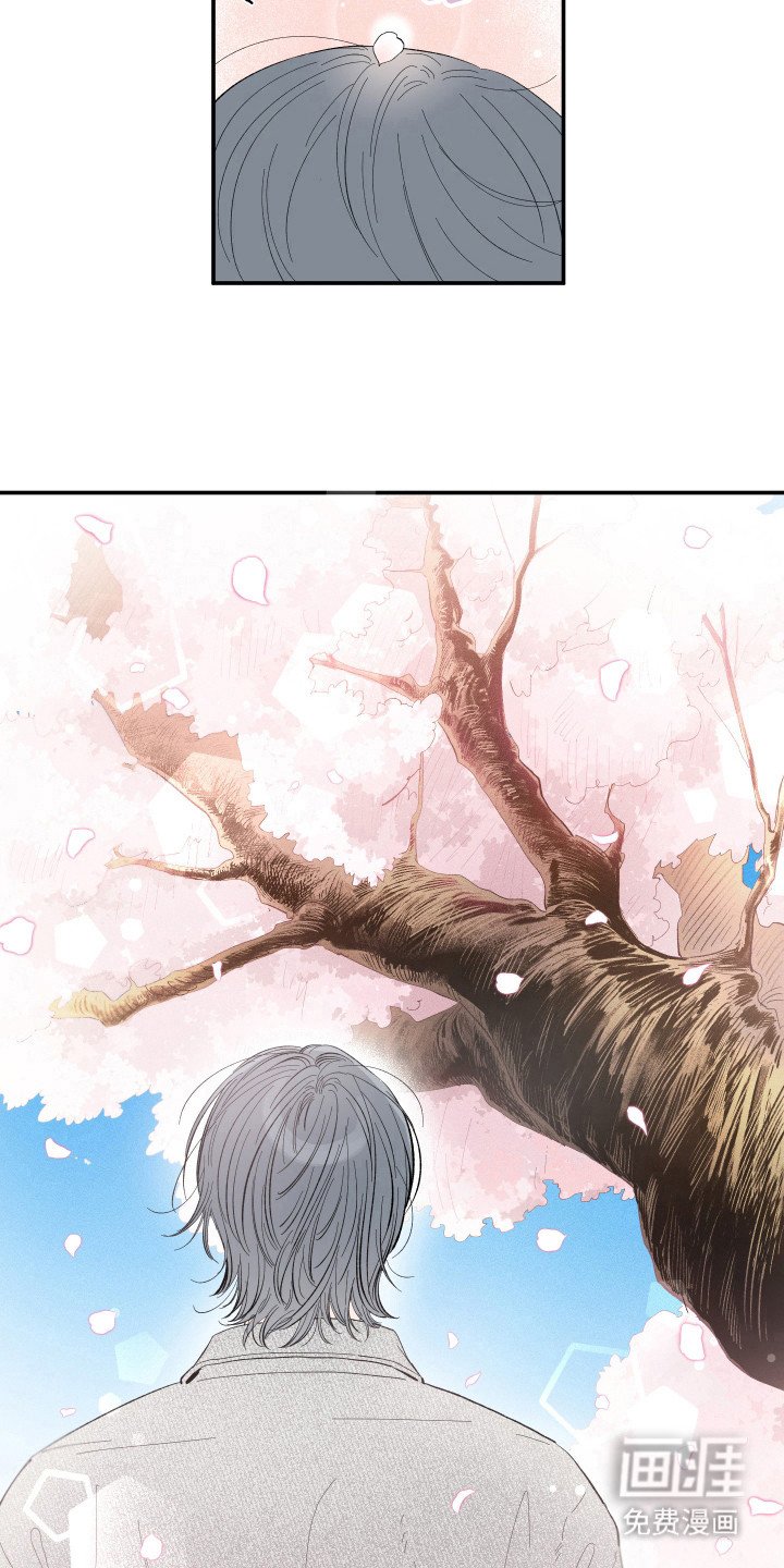 第21章：赏樱花