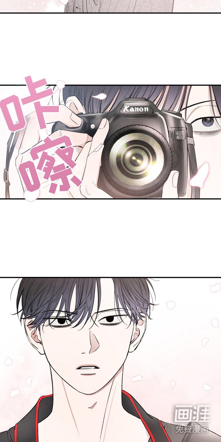 第21章：赏樱花