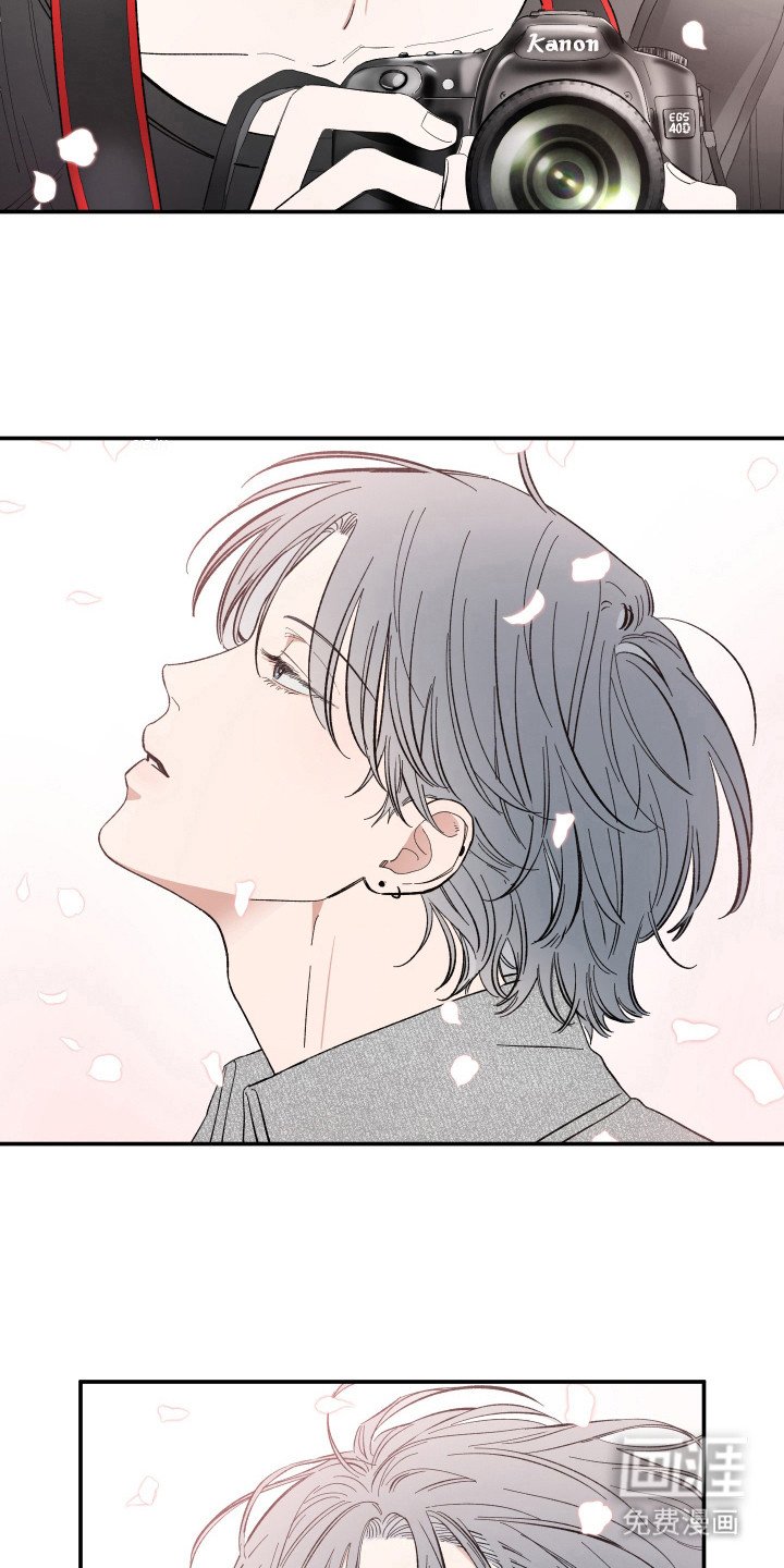 第21章：赏樱花
