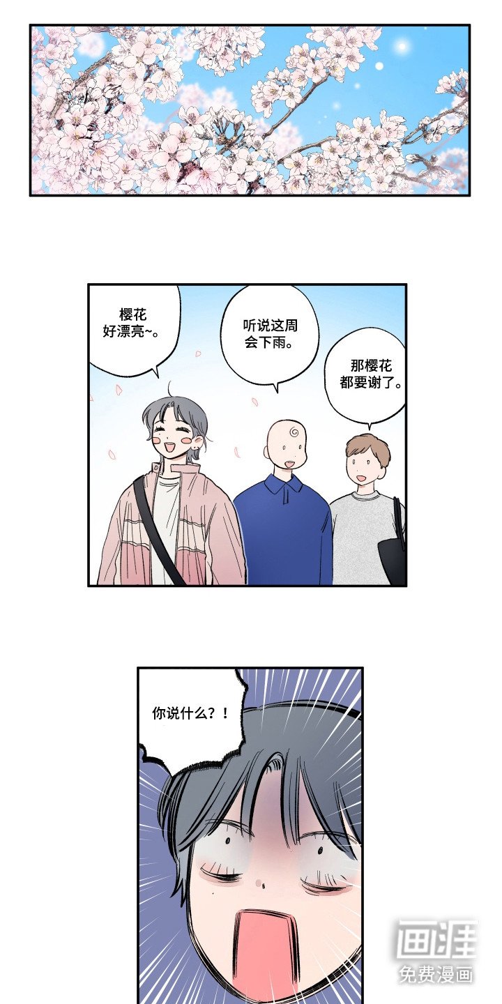 第30章：被创造机会
