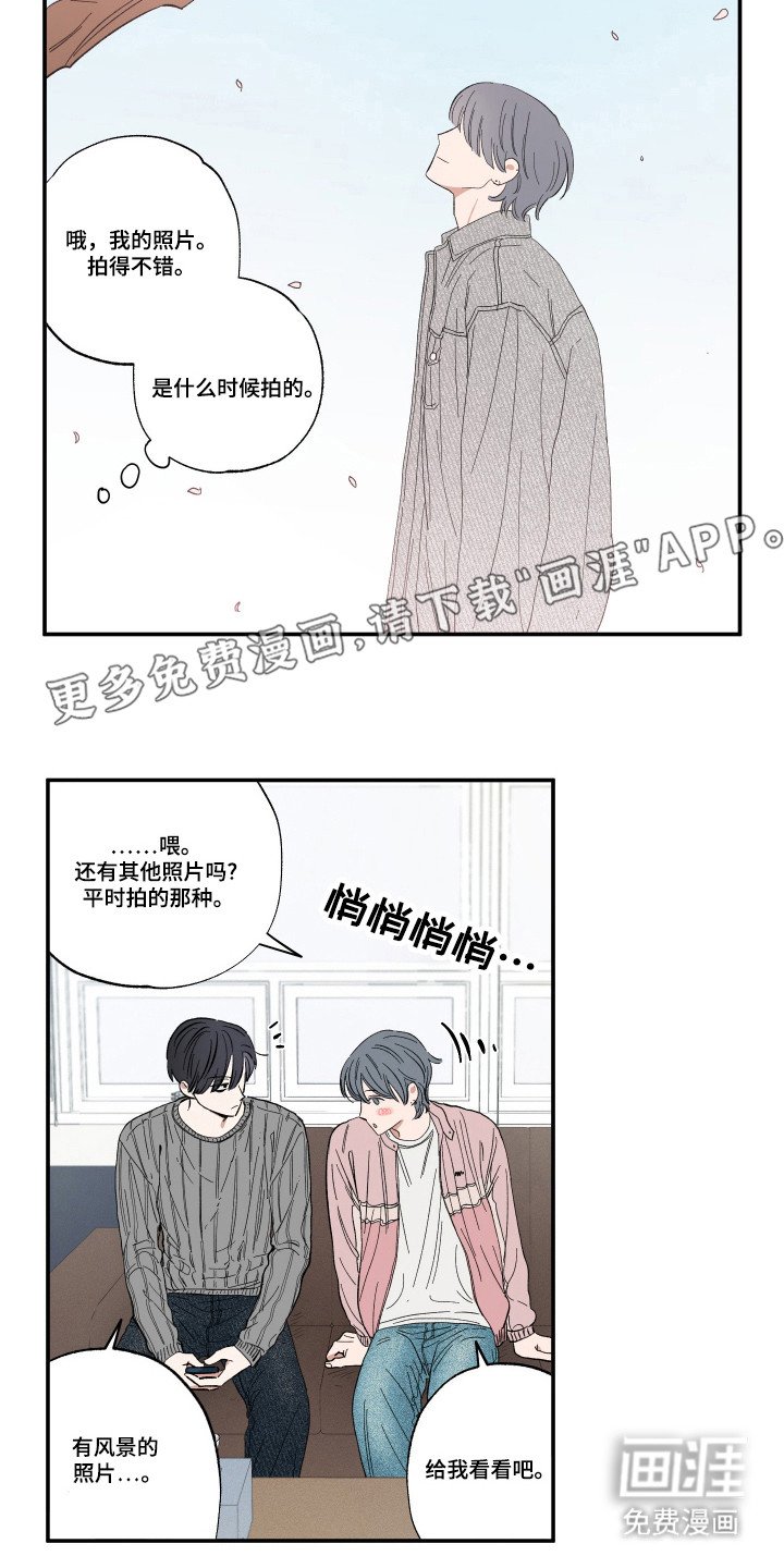 第31章：喜欢天空
