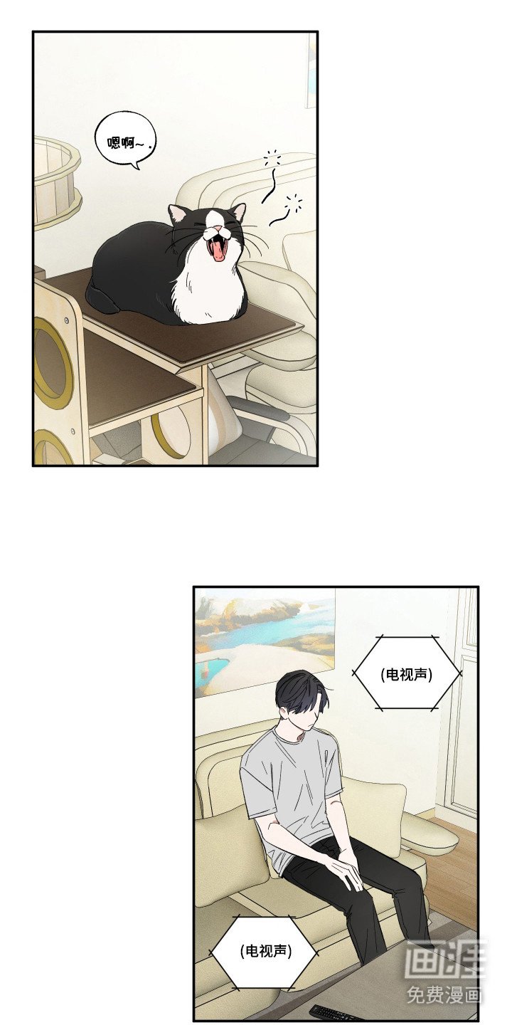 第37章：无法见面