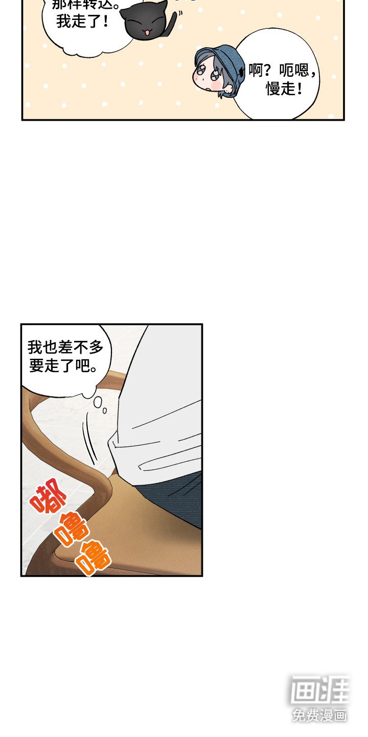 第54章：说明中