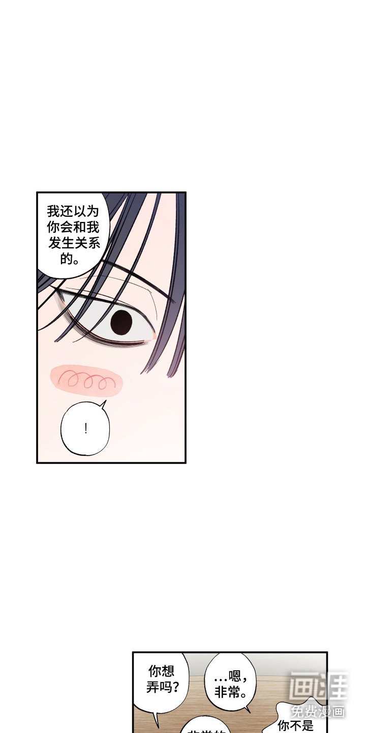 第67章：期待