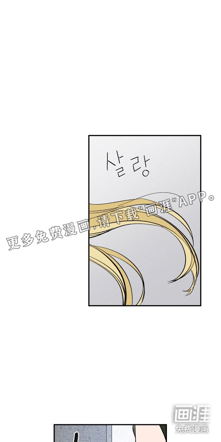 第67章：期待
