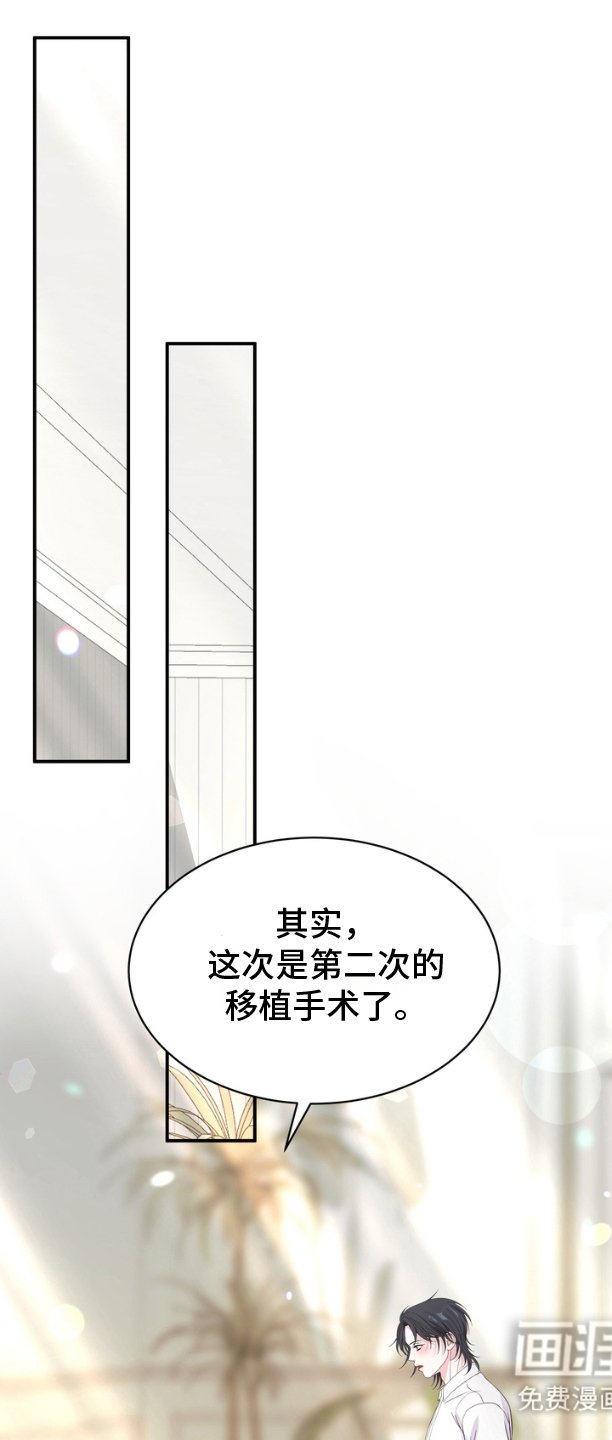第15章：没有康复