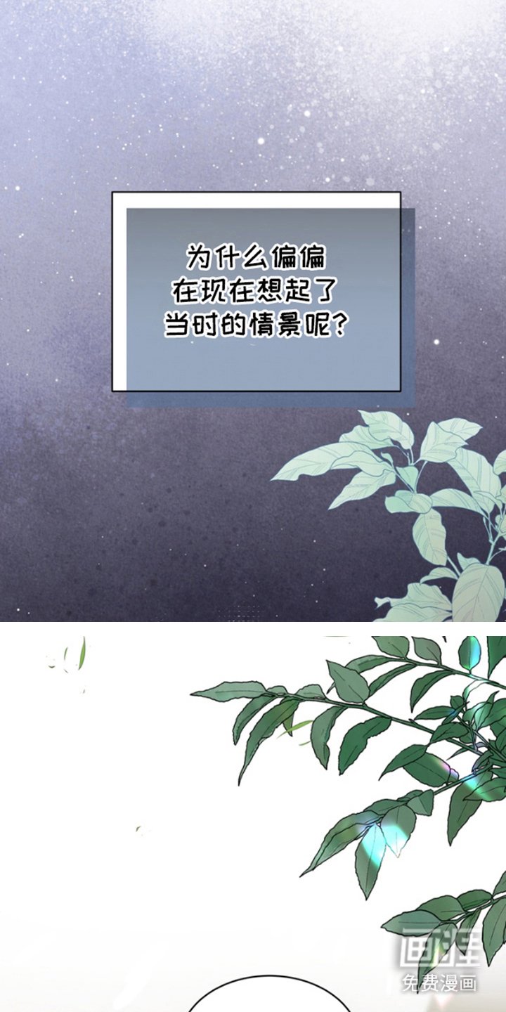 第8章：说明