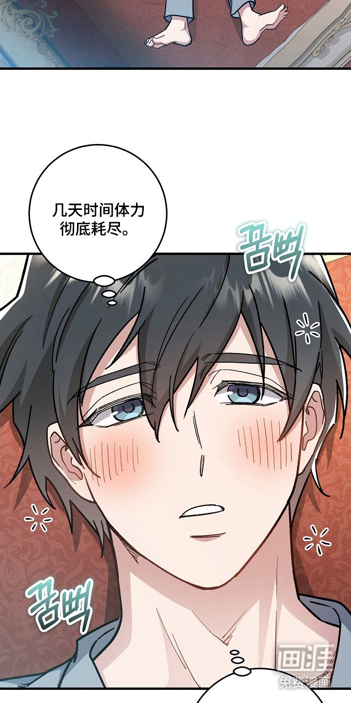 第17章：香味