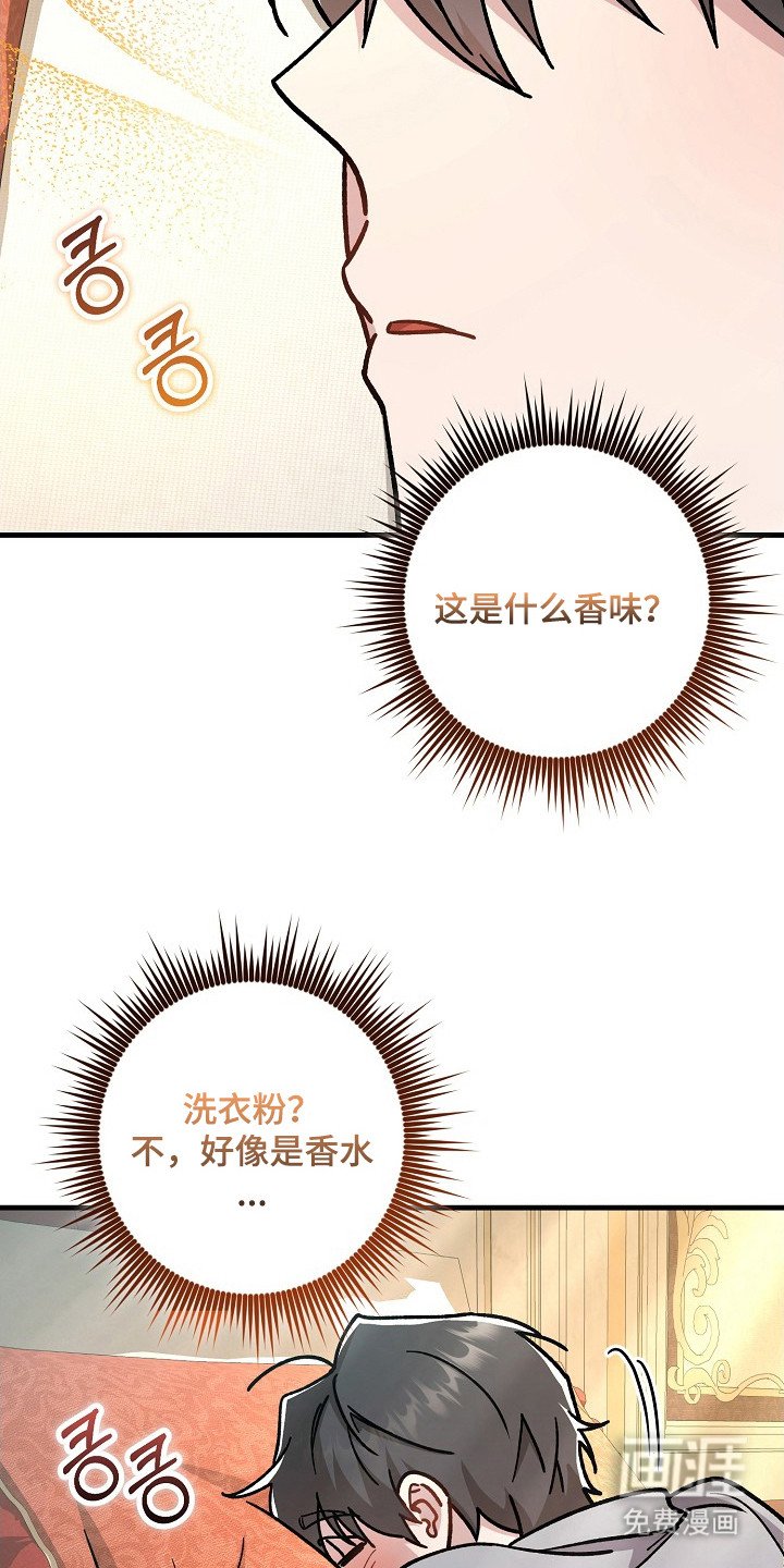 第17章：香味