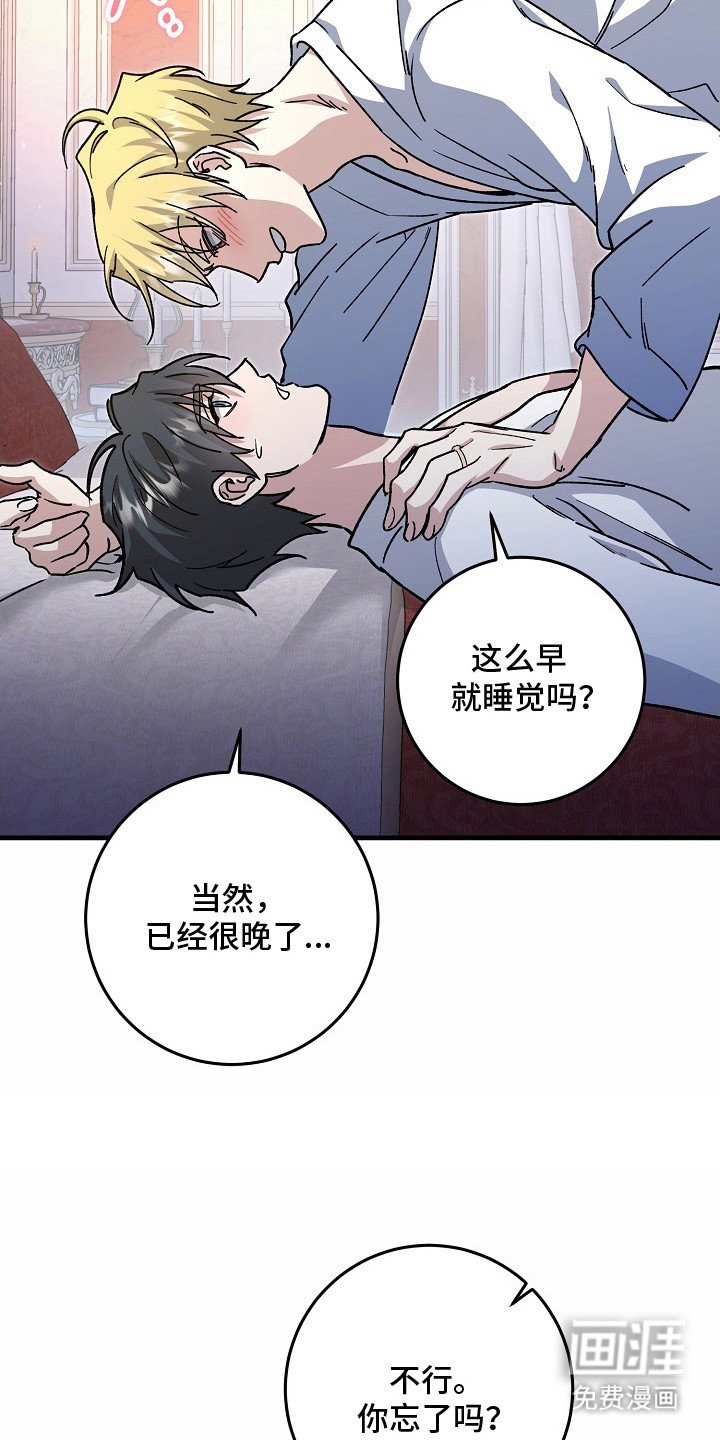 第2章：真心的