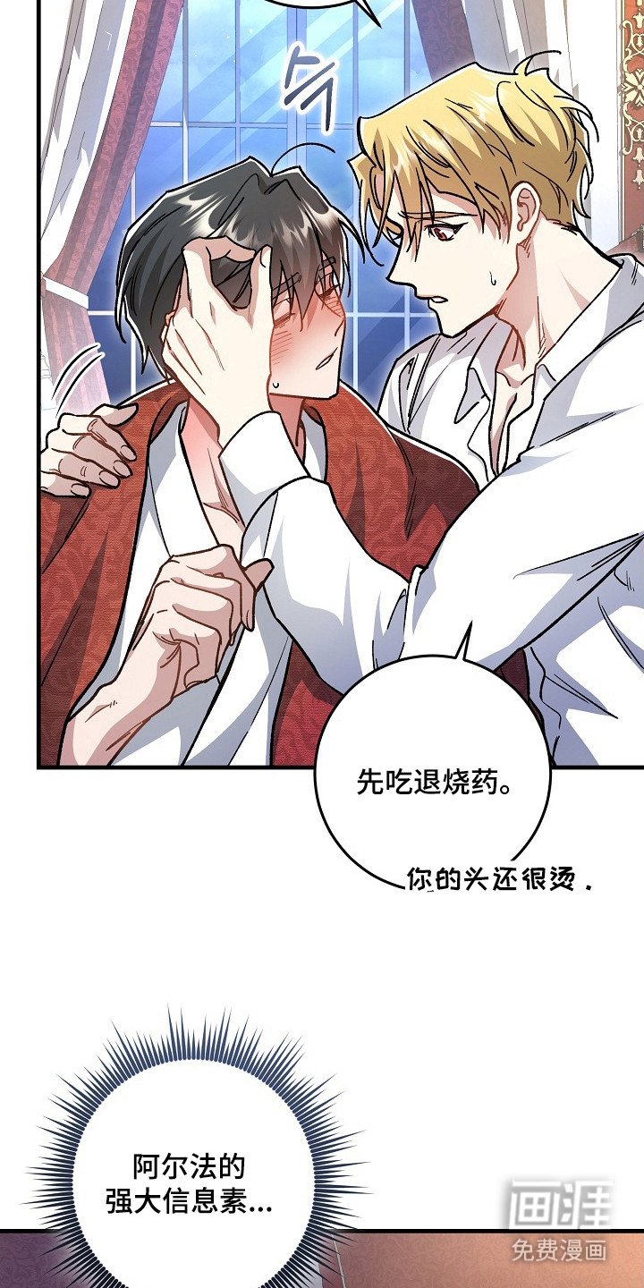 第20章：二次分化（完结）