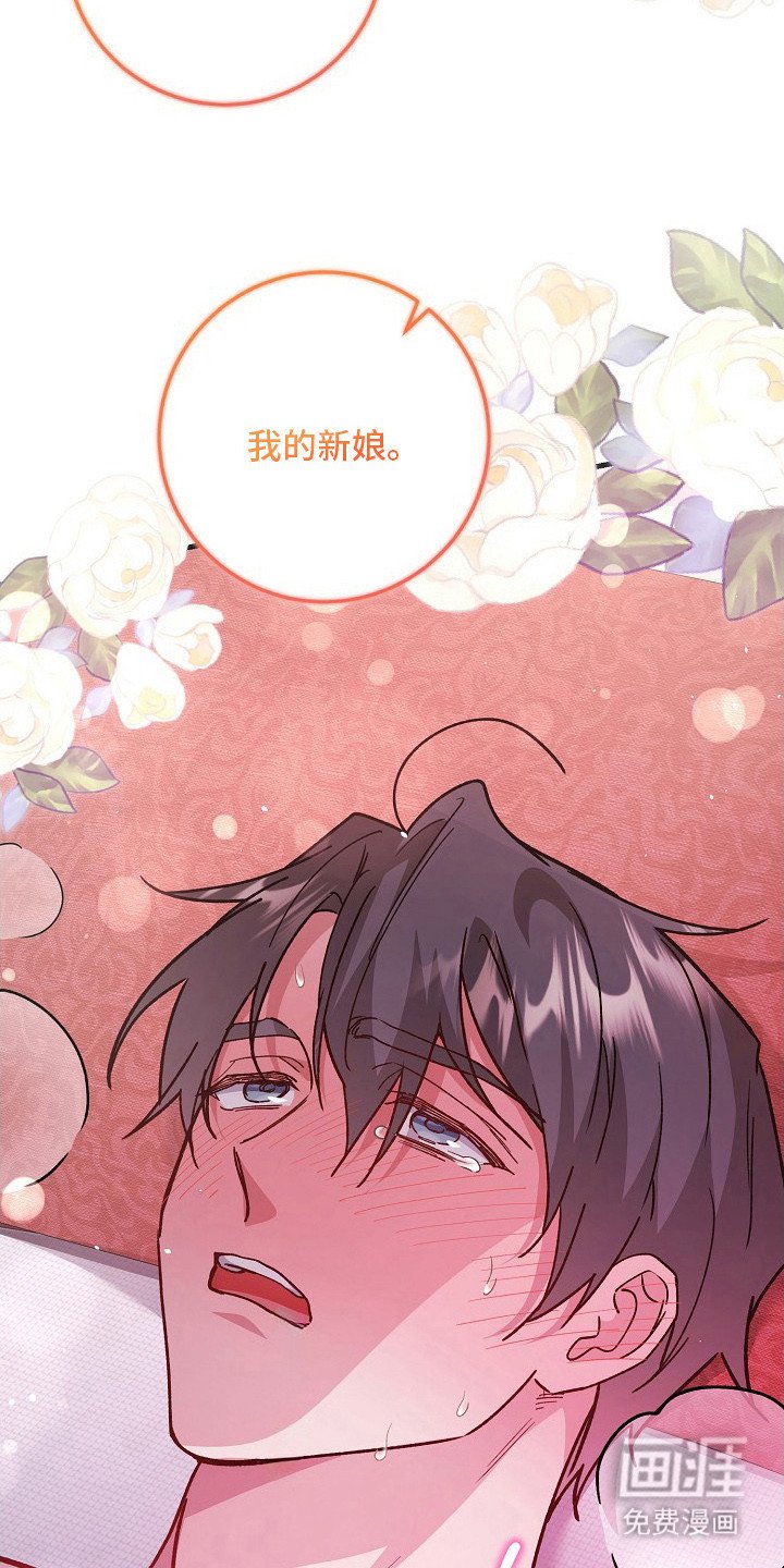 第3章：颜控