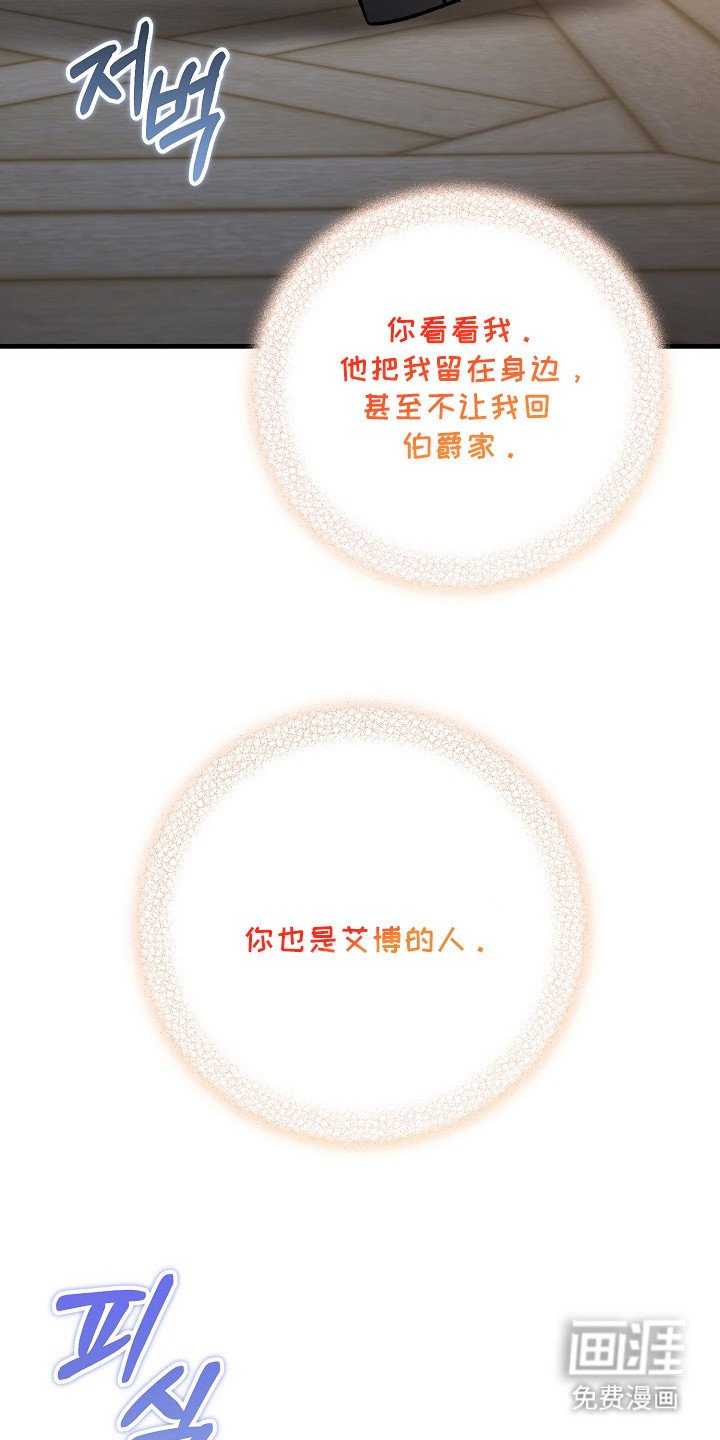第8章：喂食