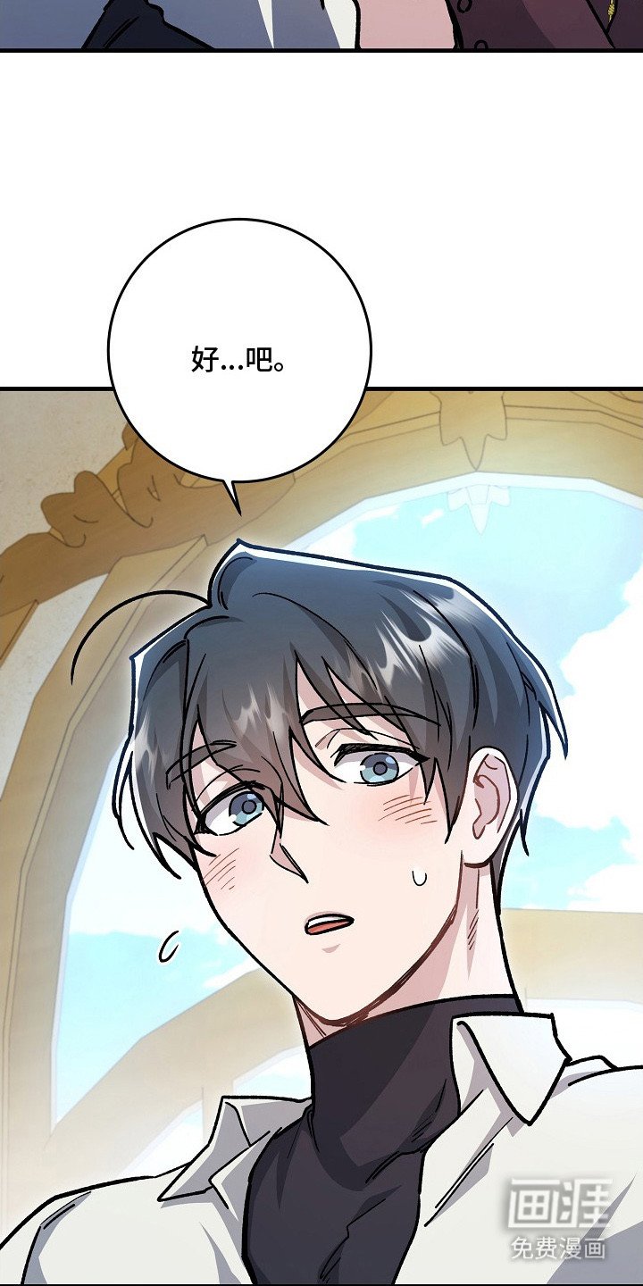 第8章：喂食