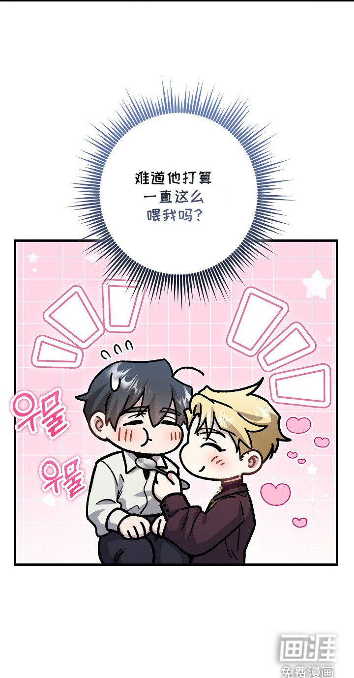 第8章：喂食
