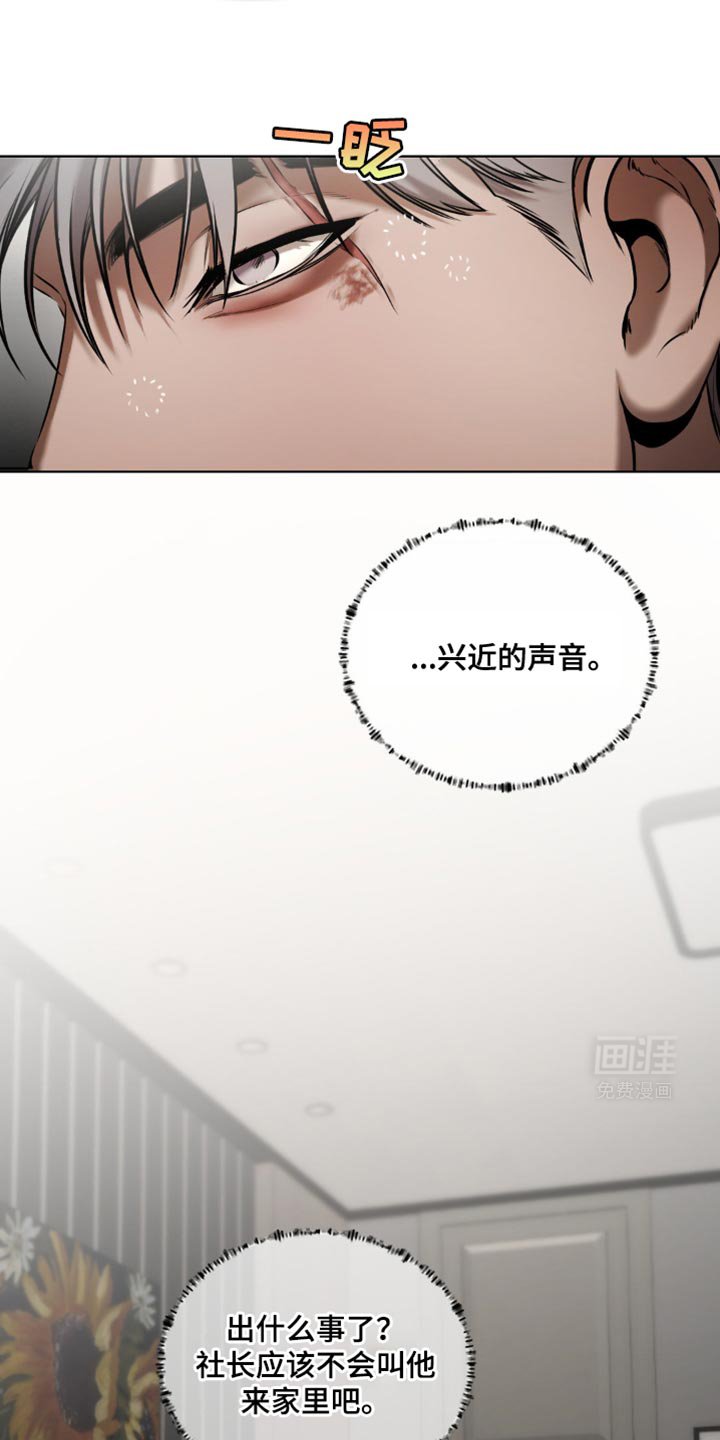 第15章：所以我才喜欢哥【完结】