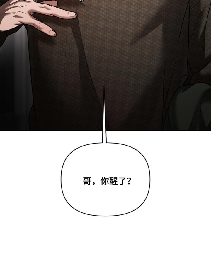 第15章：所以我才喜欢哥【完结】
