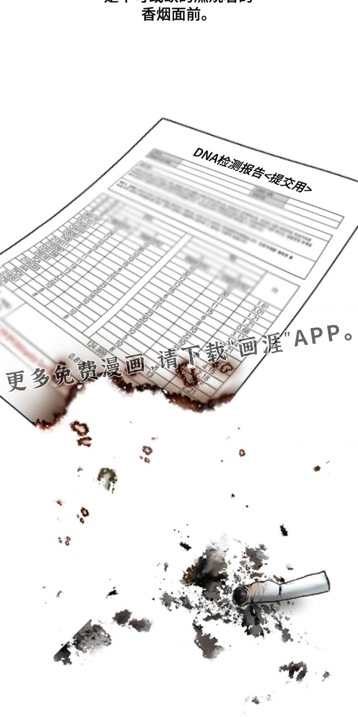 第15章：所以我才喜欢哥【完结】