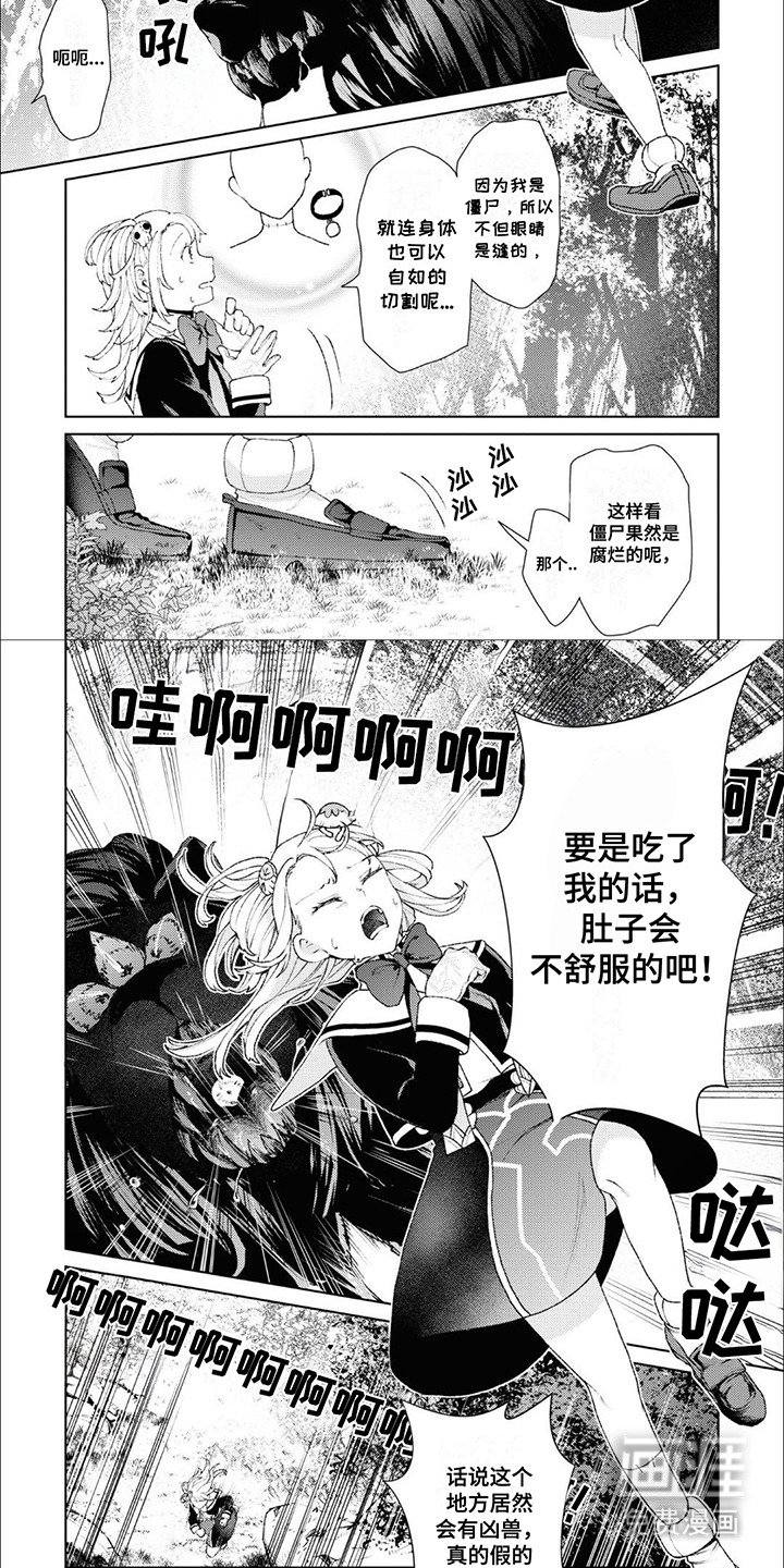 第3章：凶兽森林