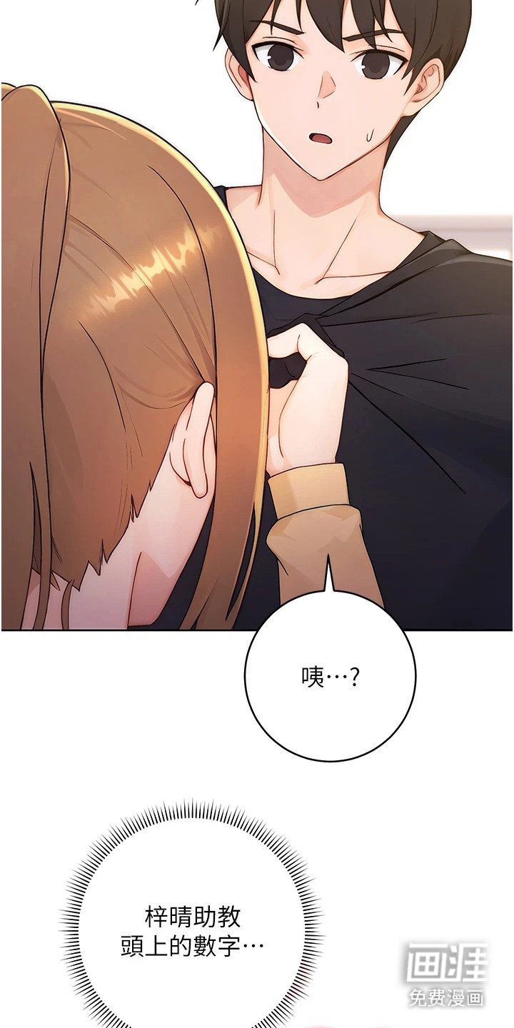 第5章：选项