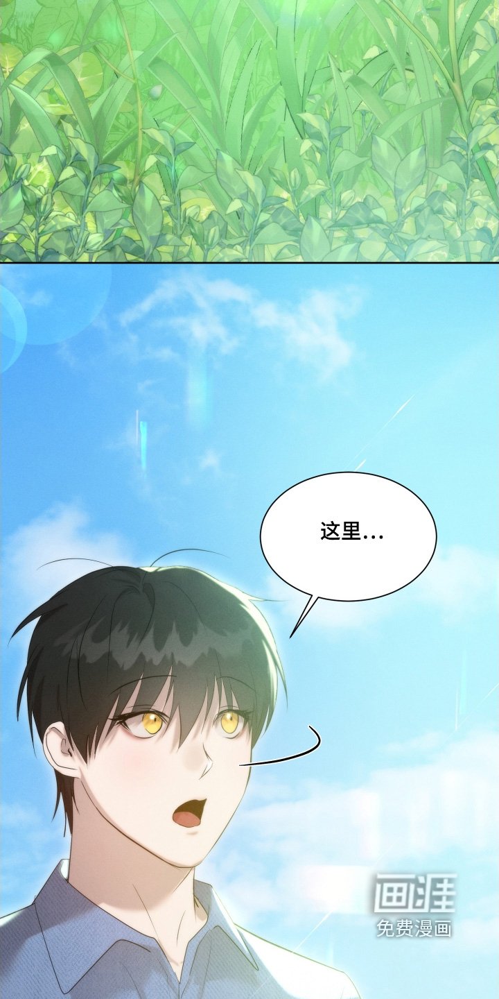 第105章：做个好梦