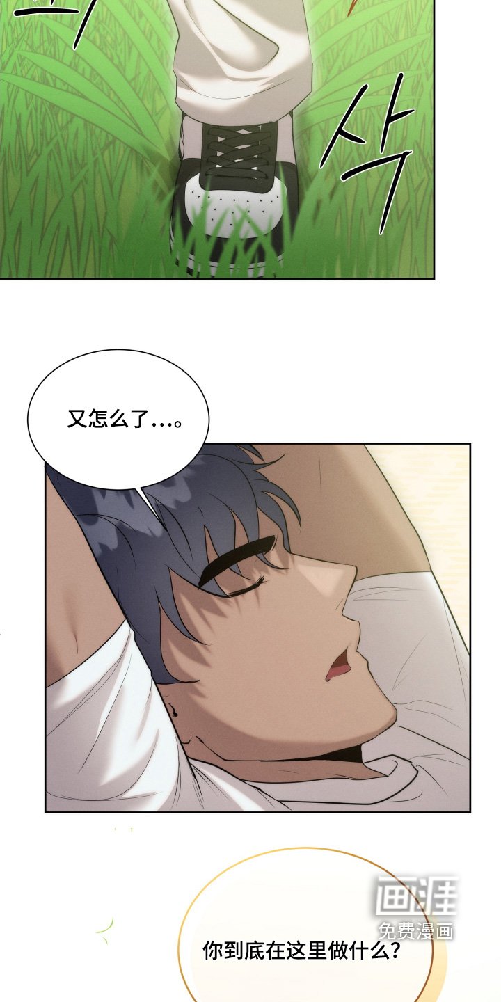 第107章：喜欢那个