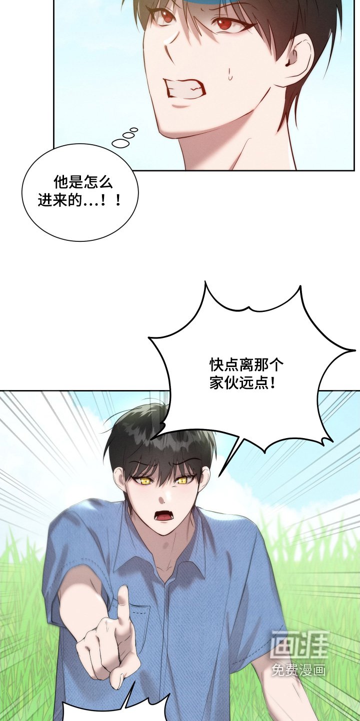 第107章：喜欢那个