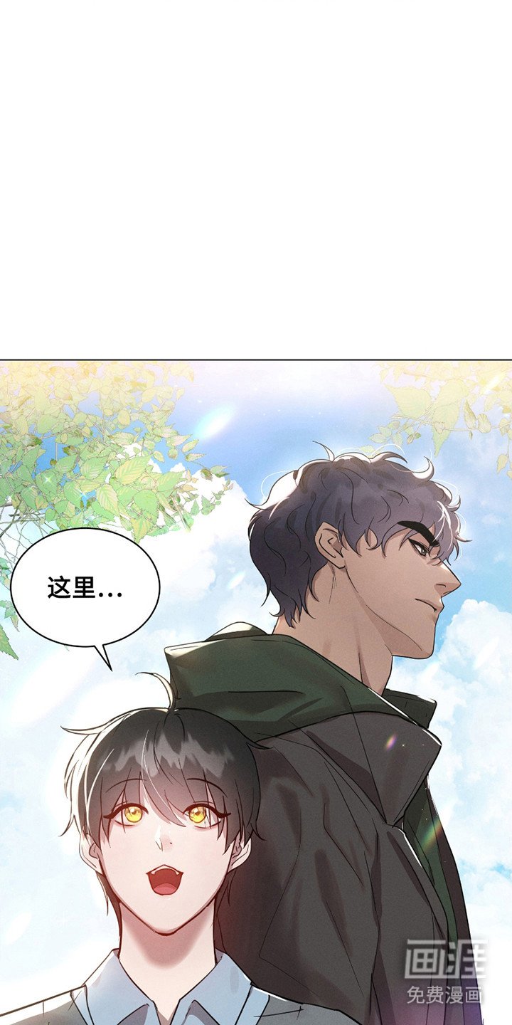 第11章：头疼