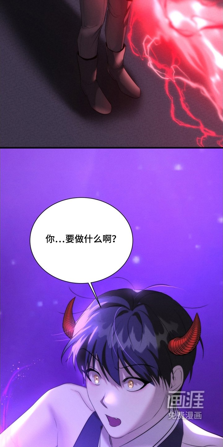 第110章：你要做什么