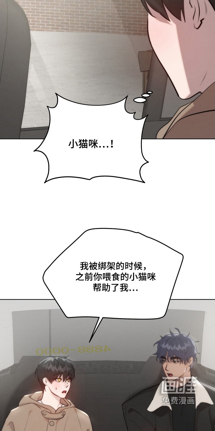 第116章：不用担心猫
