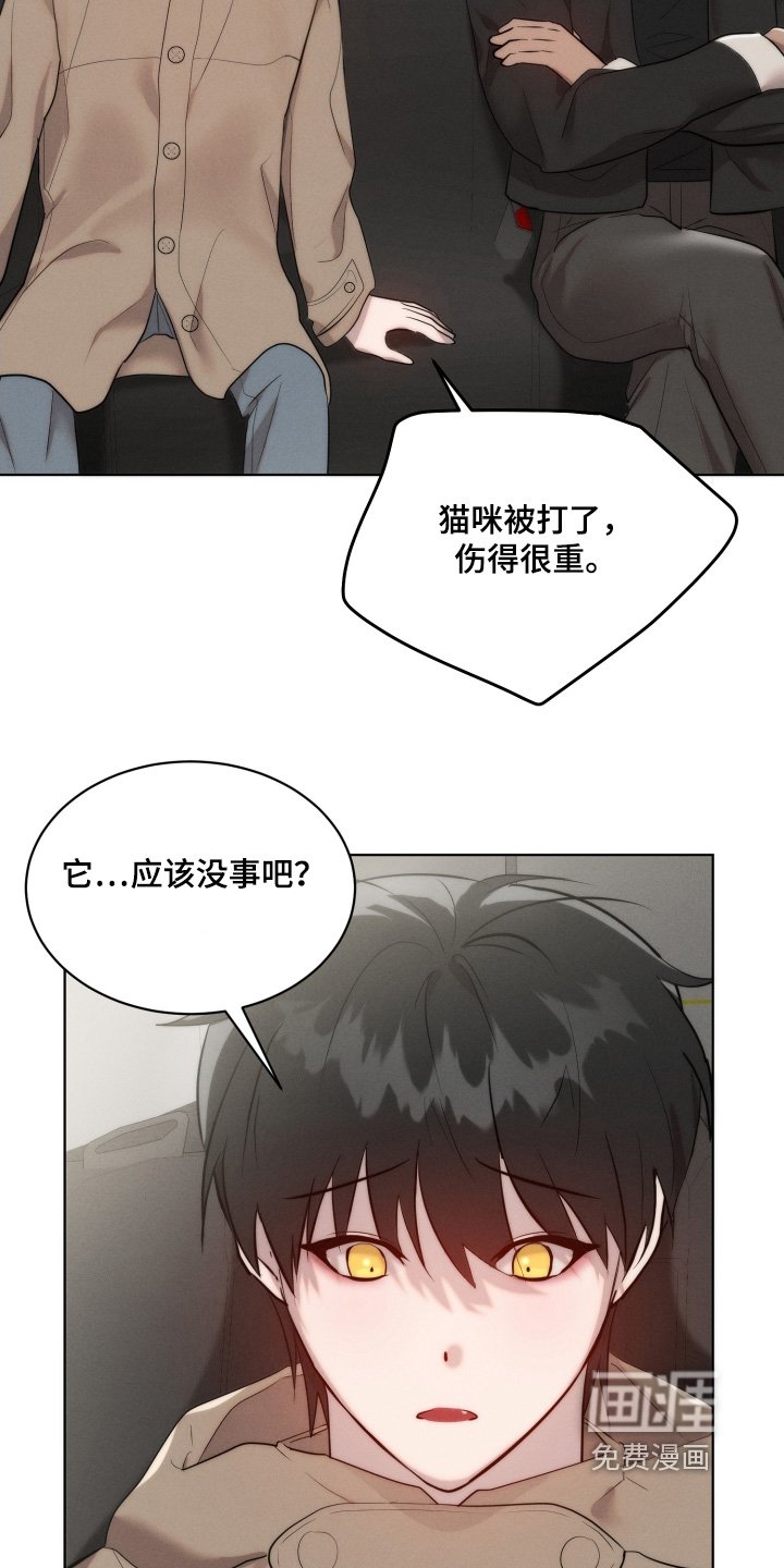 第116章：不用担心猫