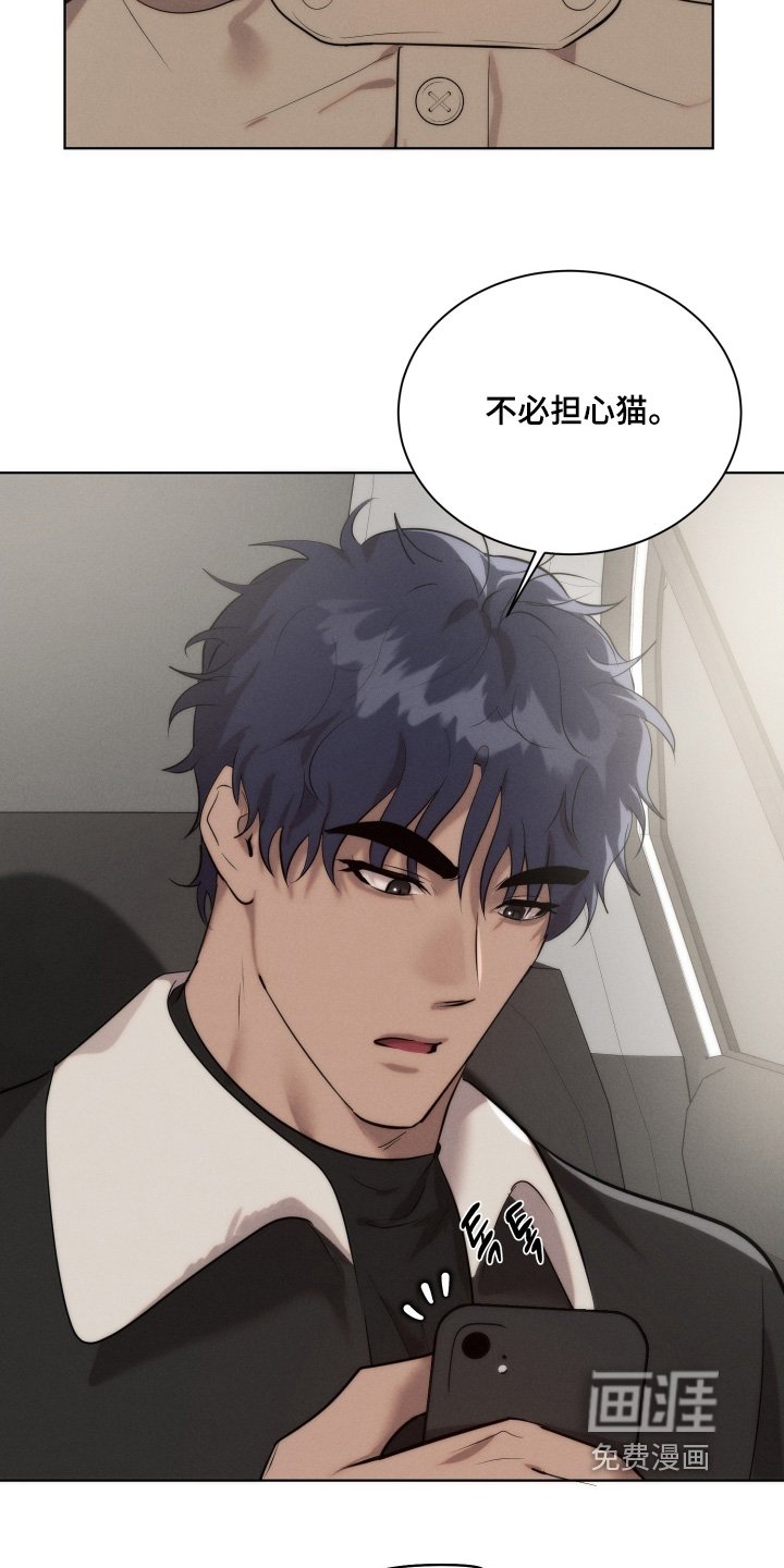 第116章：不用担心猫