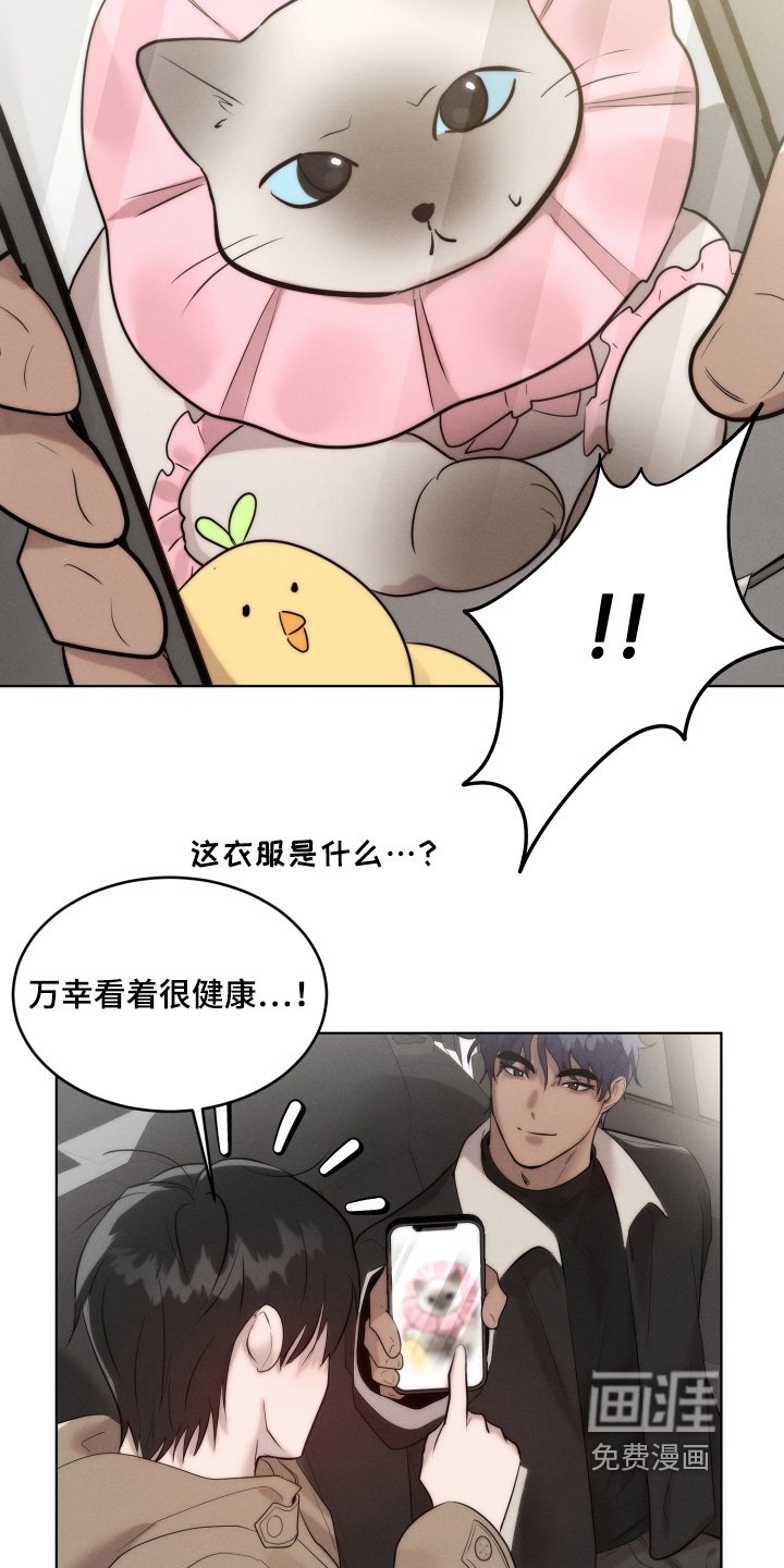 第116章：不用担心猫