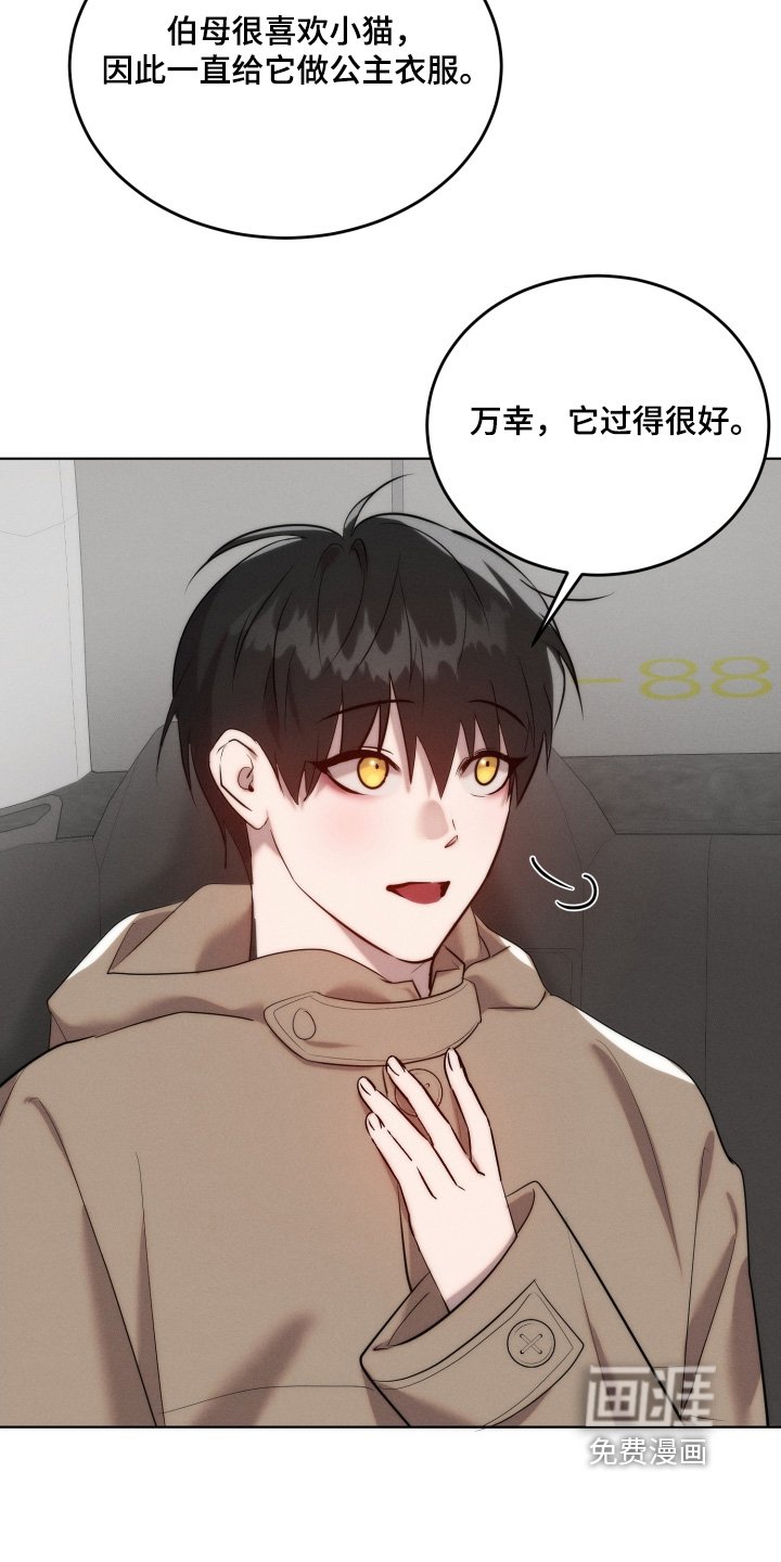 第116章：不用担心猫