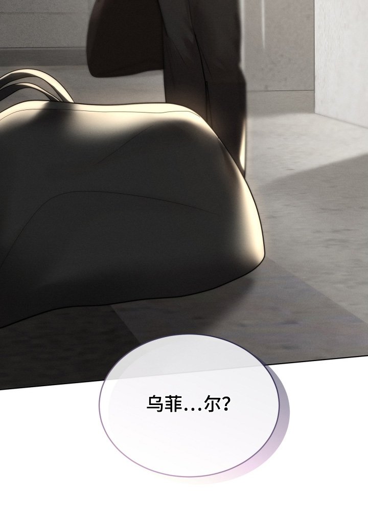 第116章：不用担心猫