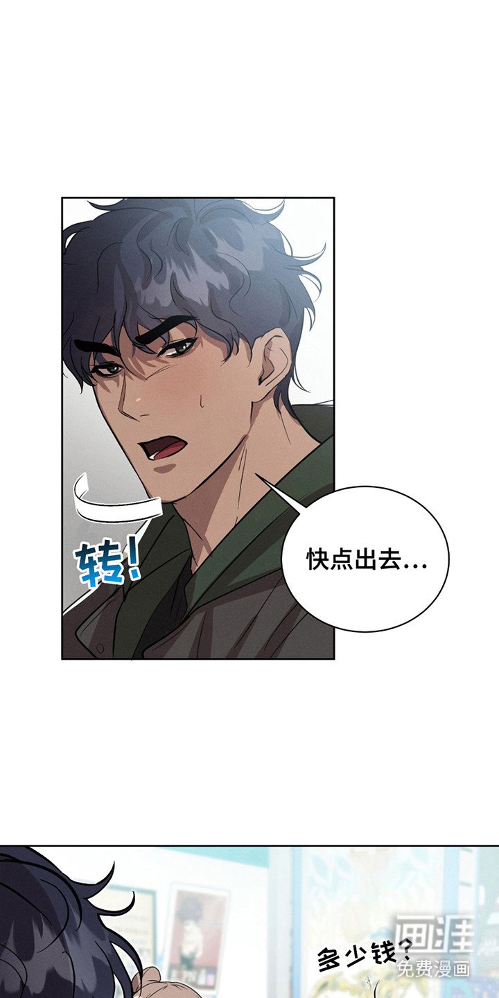第15章：流浪猫