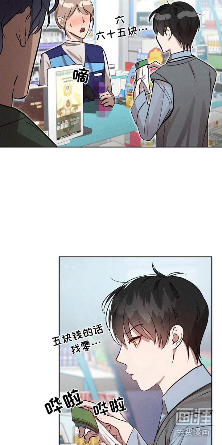 第15章：流浪猫
