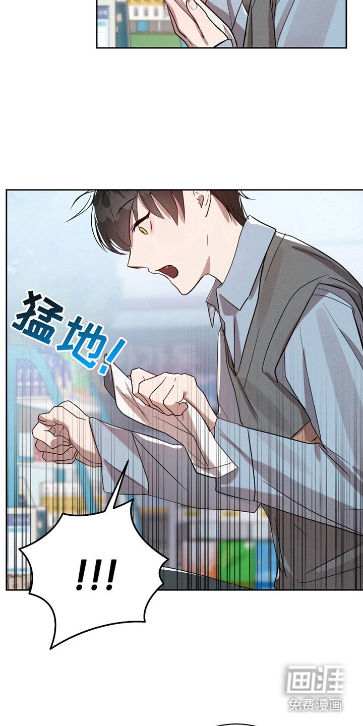 第15章：流浪猫