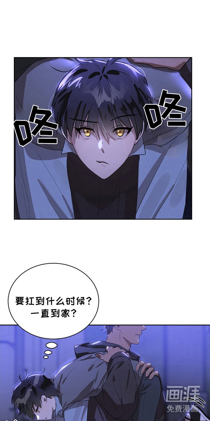 第15章：流浪猫